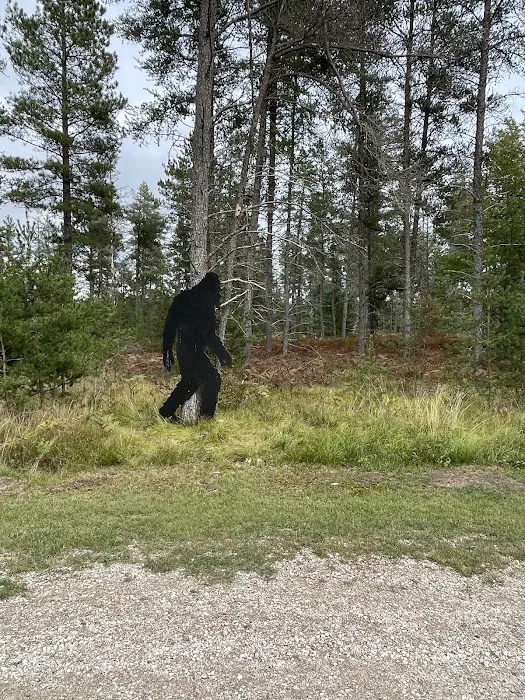 Jack Pine Lodge and Campground 9
