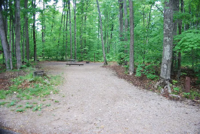 Pete's Lake Campground 6