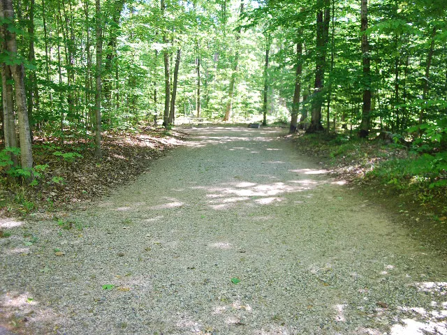 Pete's Lake Campground 10