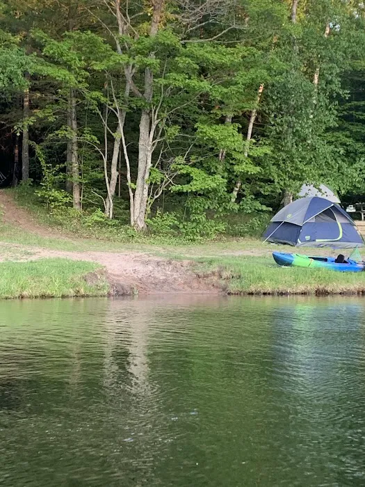 Council Lake Dispersed Campsite 8