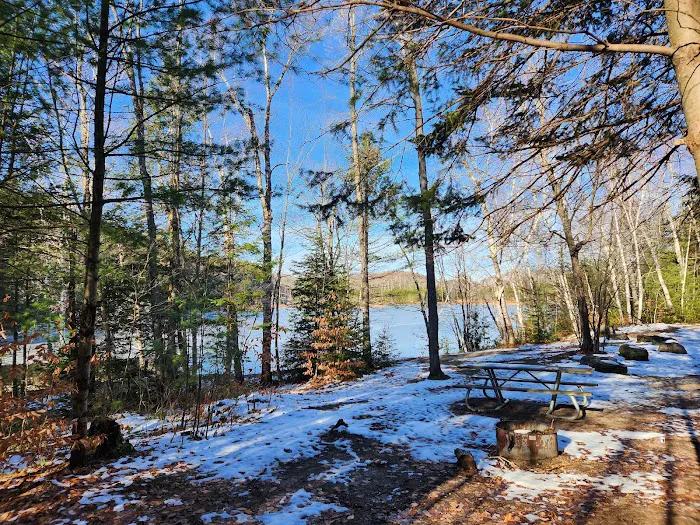 Council Lake Dispersed Campsite 10