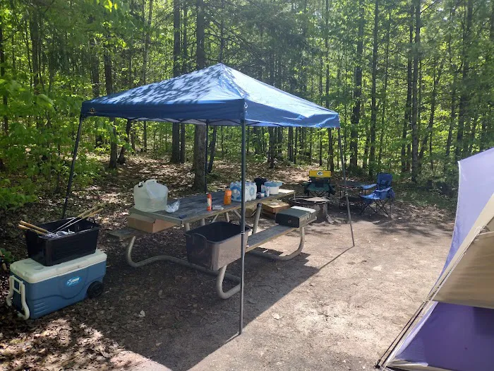 Council Lake Dispersed Campsite 7