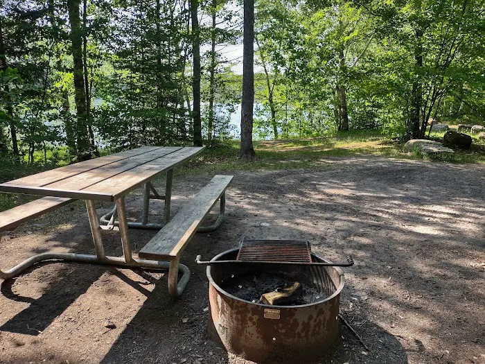 Council Lake Dispersed Campsite 6
