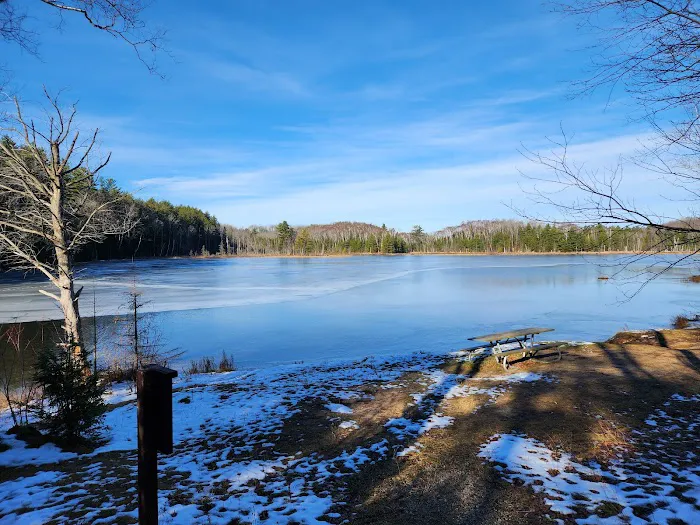 Council Lake Dispersed Campsite 2