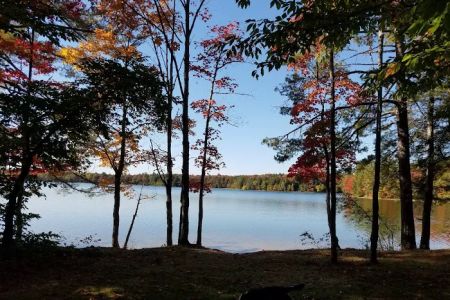 Colwell Lake Campground
