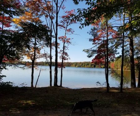 Colwell Lake Campground