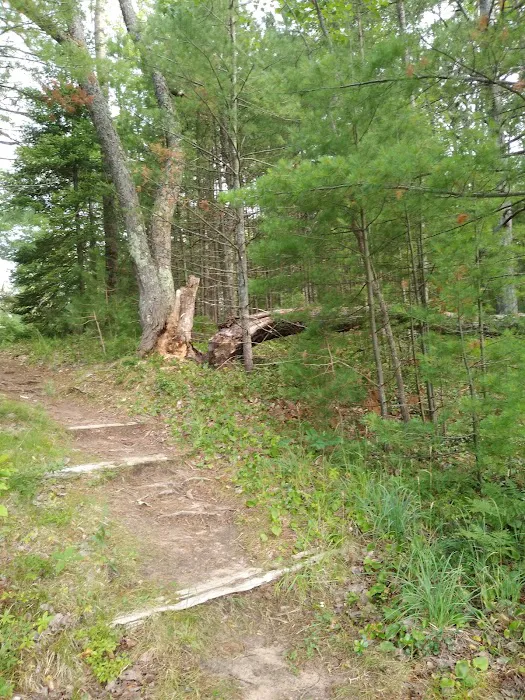 Island Lake Campground 2