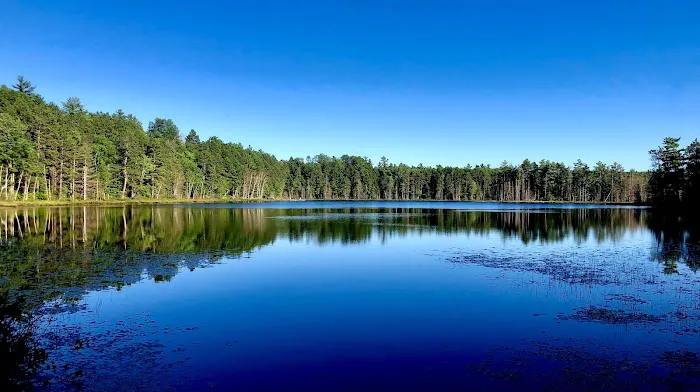 Island Lake Campground 3