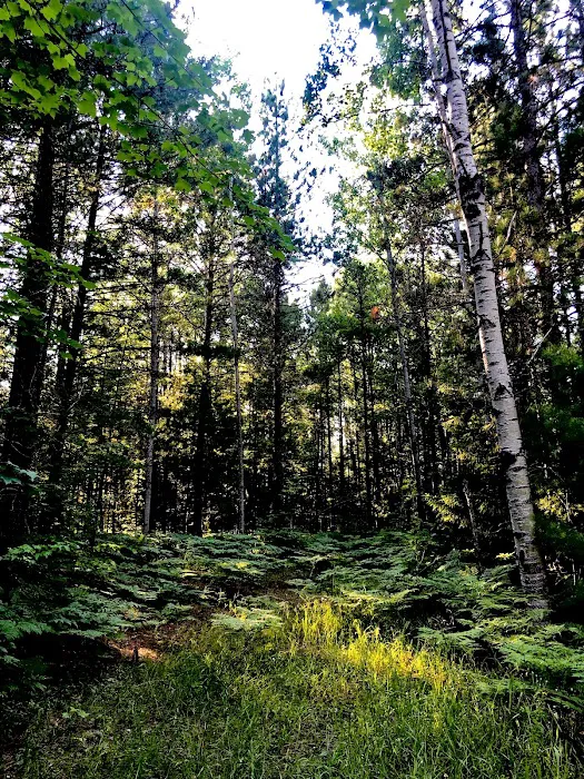 Island Lake Campground 10