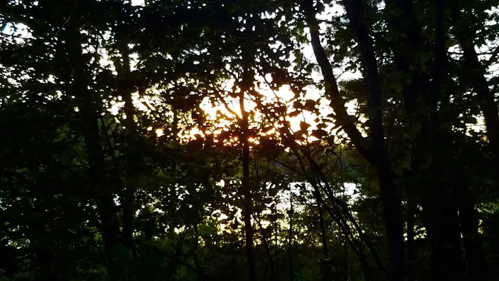 Hovey Lake Campsites 7