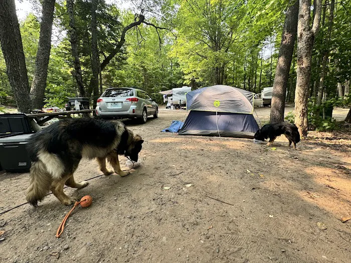 Otter Lake Campground 5