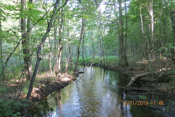 Magical Woods-Munising, MI 7
