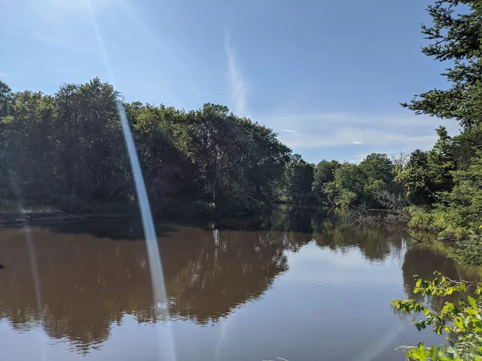Merwin Creek Campground 1