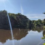 Merwin Creek Campground