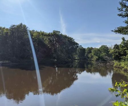 Merwin Creek Campground