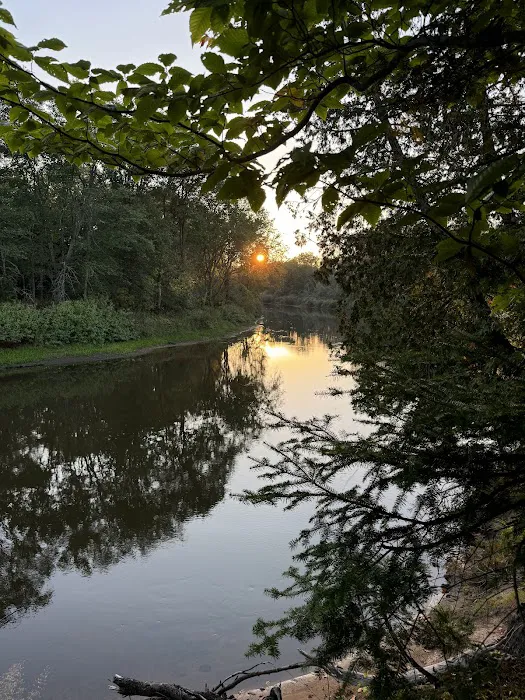 Merwin Creek Campground 2