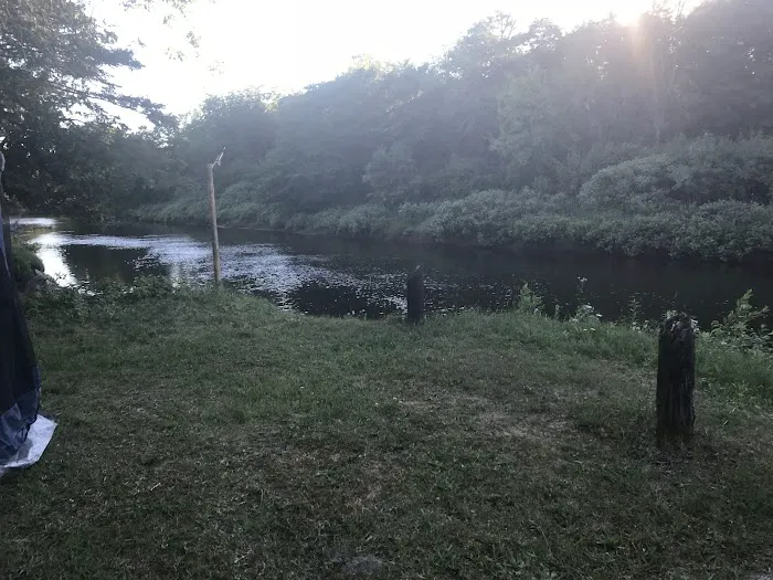 Merwin Creek Campground 4