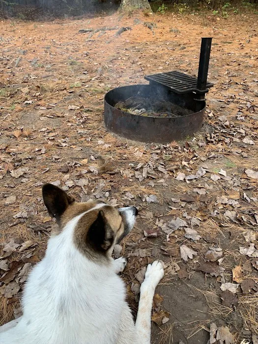 Emily Lake Campground 7