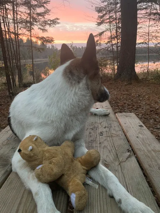 Emily Lake Campground 8