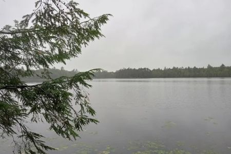Wabasso Lake Campground