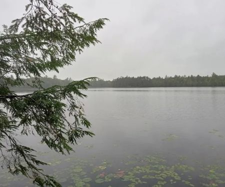 Wabasso Lake Campground