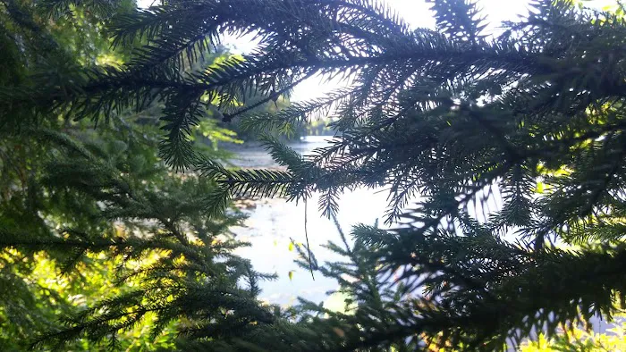 Wabasso Lake Campground 3