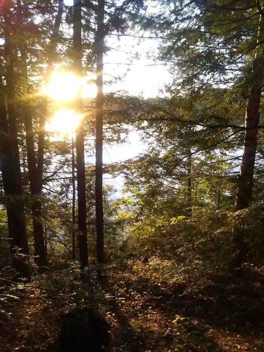 Wabasso Lake Campground 6
