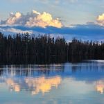 Peninsula Pines Resort & Campground
