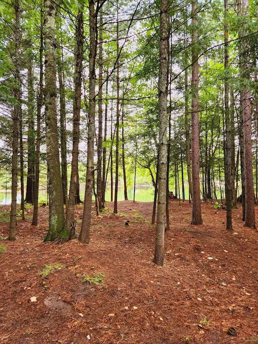 Lake of the Falls Campground/County Park 2