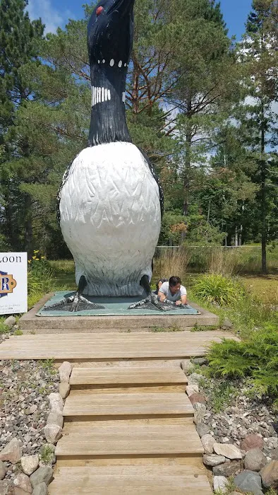 Loon Lagoon 7