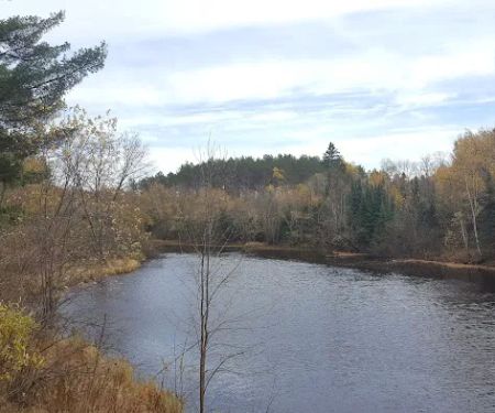 Stockfarm Bridge Campground