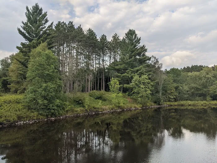 Stockfarm Bridge Campground 8
