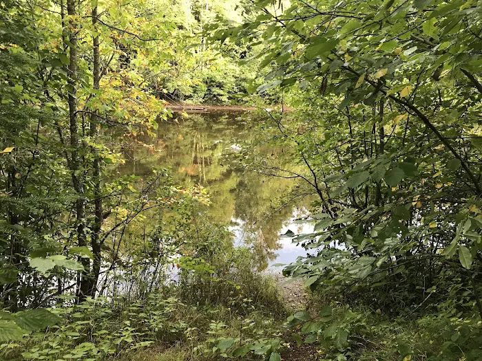 Stockfarm Bridge Campground 3