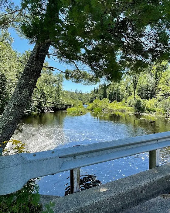 Black Lake 10