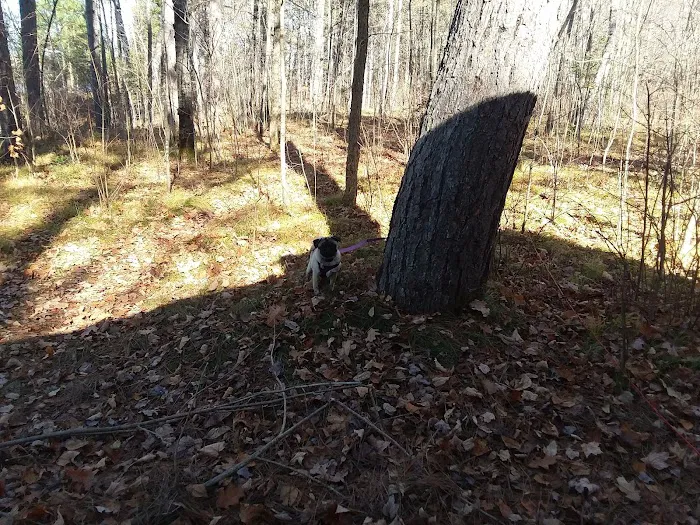 Black Lake 9