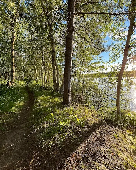 Black Lake 5