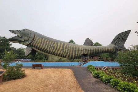 Northern Lure Resort & Campground LLC