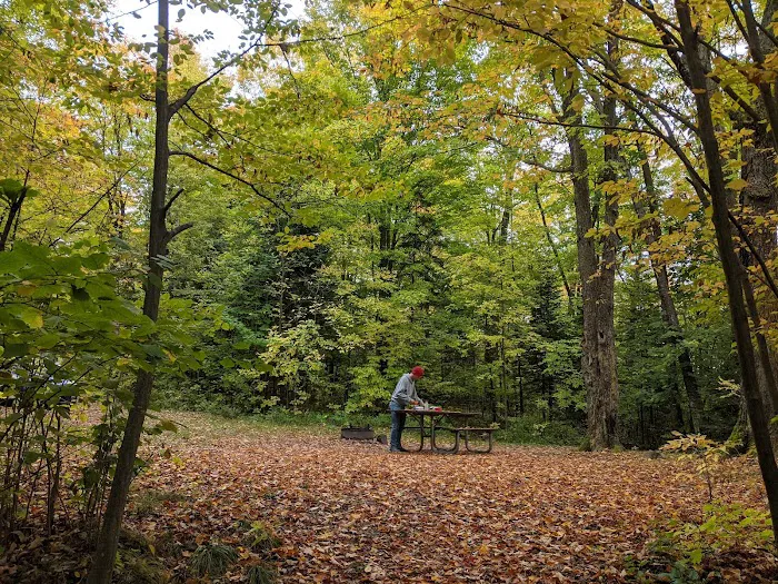 Moose Lake Campground 9
