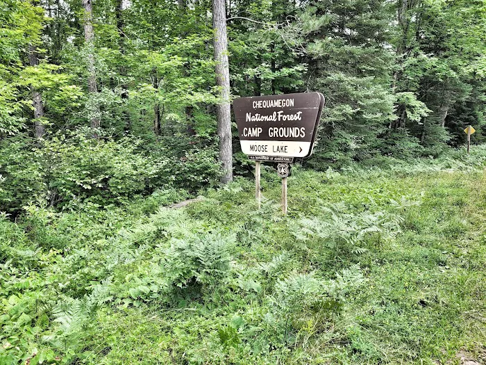 Moose Lake Campground 10