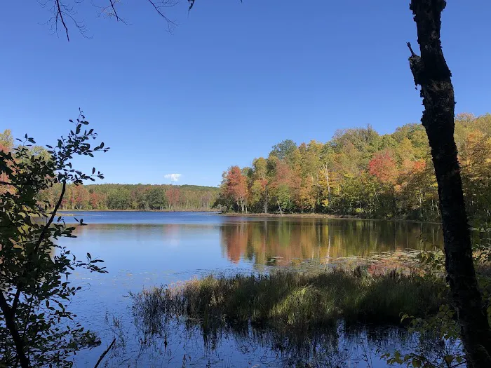 Audie Flowage-Perch Lake Campground 3