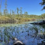 Audie Flowage-Perch Lake Campground