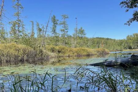 Audie Flowage-Perch Lake Campground