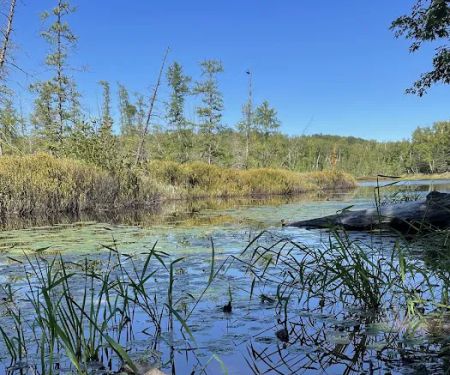 Audie Flowage-Perch Lake Campground