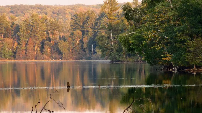 Murphy Flowage Campground 8