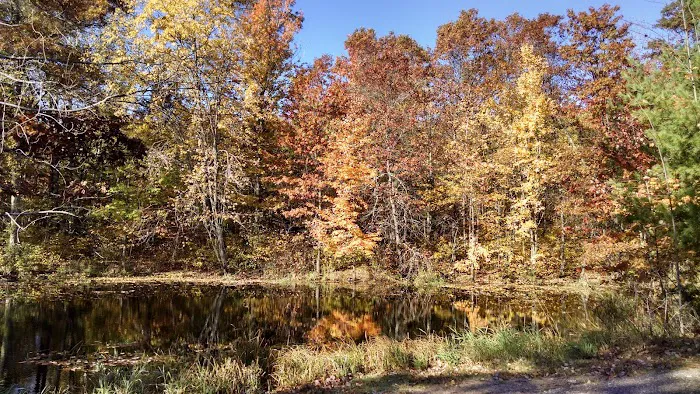 Lake Chippewa Campground 9