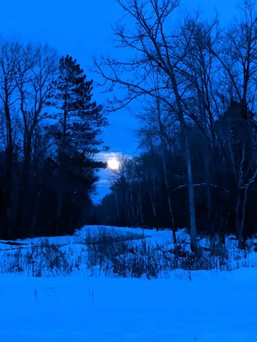 Couderay River Campground 1