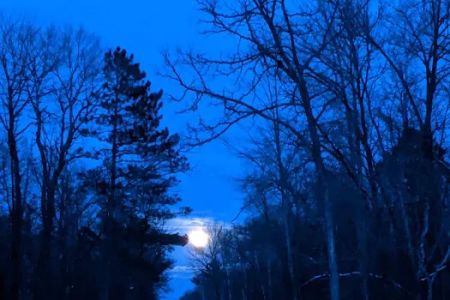 Couderay River Campground