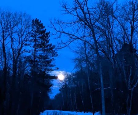 Couderay River Campground
