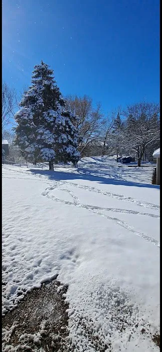 Cottage Grove 7