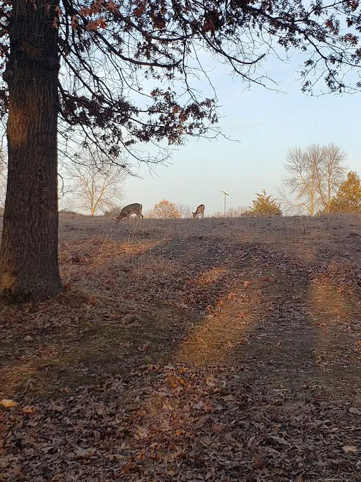 Afton State Park Backpacking Campsites 9